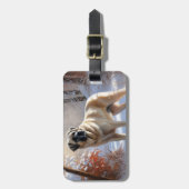 Étiquette À Bagage Pasteur Anatolien Laisser Neige Noël (Devant Vertical)