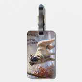 Étiquette À Bagage Pasteur Anatolien Laisser Neige Noël (Dos Vertical)