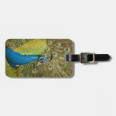 Étiquette À Bagage Pavanement de paon (Devant horizontal)