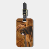 Étiquette À Bagage Pavian (Devant Vertical)