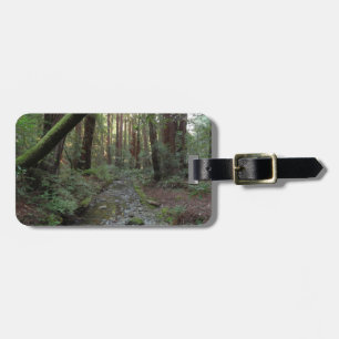 Étiquette À Bagage Paysage forestier du ruisseau de Muir Woods