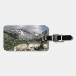 Étiquette À Bagage paysage pyrénéen