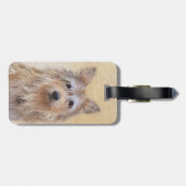 Étiquette À Bagage Peinture Berger Picard - Joli art original chien (Dos horizontal)