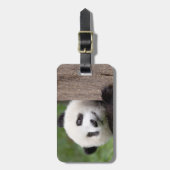 Étiquette À Bagage Peinture de petit animal de panda (Devant Vertical)