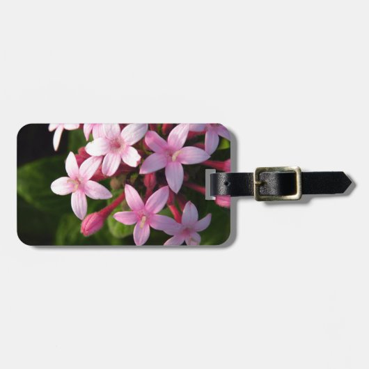 Étiquette À Bagage Pentas (Devant horizontal)