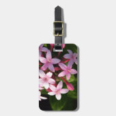 Étiquette À Bagage Pentas (Devant Vertical)