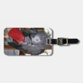 Étiquette À Bagage Perroquet flexible de gris africain du Congo avec (Devant horizontal)