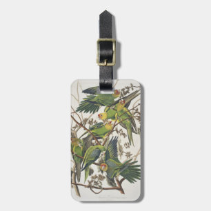 Étiquette À Bagage Perruche de Caroline, des "oiseaux de l'Amérique",