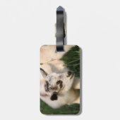 Étiquette À Bagage Petit bébé chèvre (Dos Vertical)