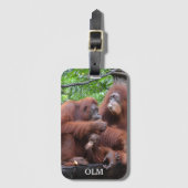 Étiquette À Bagage Petit déjeuner avec le zoo de Singapour Orangutans (Devant Vertical)