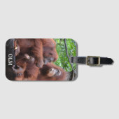 Étiquette À Bagage Petit déjeuner avec le zoo de Singapour Orangutans (Devant Horizontal)