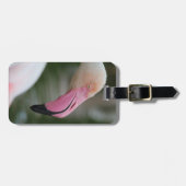 Étiquette À Bagage Phoenicopterus roseus (Devant horizontal)