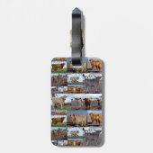 Étiquette À Bagage Photo Collage De Vaches Highland, Balise Bagage (Dos Vertical)