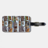 Étiquette À Bagage Photo Collage De Vaches Highland, Balise Bagage (Dos horizontal)