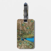 Étiquette À Bagage Photo couleur riche d'oiseau de paon (Dos Vertical)