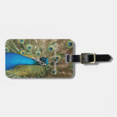 Étiquette À Bagage Photo de beau paon avec les plumes écartées (Devant horizontal)