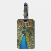 Étiquette À Bagage Photo de beau paon avec les plumes écartées (Dos Vertical)