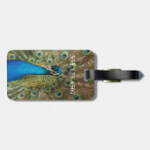 Étiquette À Bagage Photo de beau paon avec les plumes écartées (Dos horizontal)