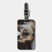 Étiquette À Bagage Photo de chat de animal moderne (Devant Vertical)