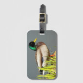 Étiquette À Bagage Photo de la faune de Mallard Duck (Devant Vertical)