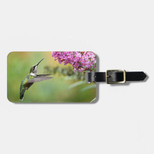 Étiquette À Bagage Photo de la flore des colibris