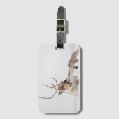 Étiquette À Bagage Photo de la nature des rennes (Devant Vertical)