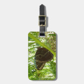 Étiquette À Bagage Photo de la nature du papillon bleu Morpho (Devant Vertical)