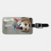 Étiquette À Bagage Photo et nom de l'animal, Coordonnées (Devant horizontal)