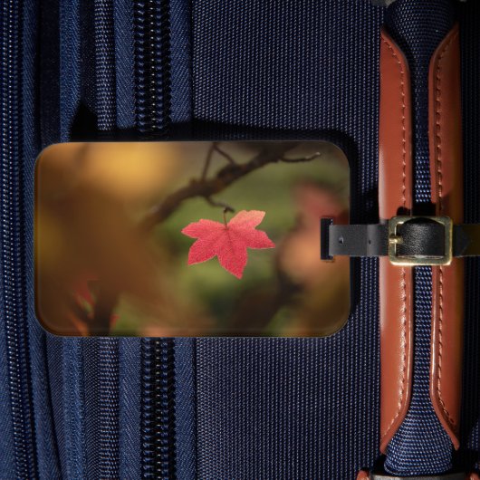 Étiquette À Bagage Photo Red Fall Leaf Nature (Insitu Rectoal 4)