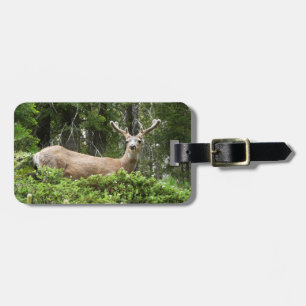 Étiquette À Bagage Photographie de la nature et des cerfs de Yosemite