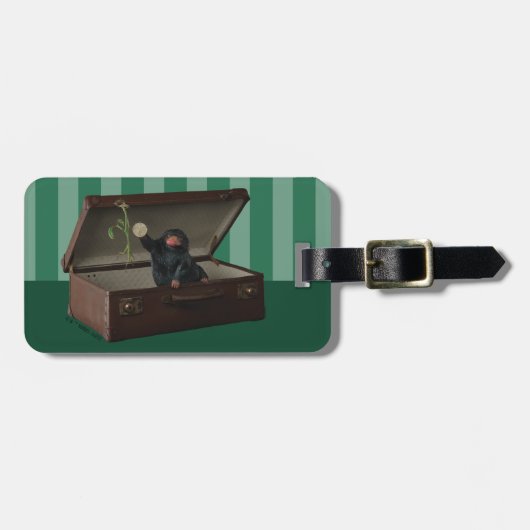 Étiquette À Bagage Pickett & Teddy in Briefcase (Devant horizontal)