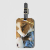 Étiquette À Bagage Piggy (Devant Vertical)