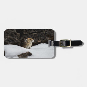 Étiquette À Bagage Pika dans l'étiquette de neige avec coordonnées