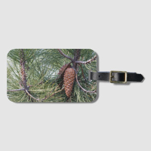 Étiquette À Bagage Pinecone sur le pin