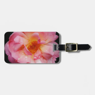 Étiquette À Bagage Pink Rose w/ Dew Drops Black Background