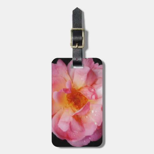Étiquette À Bagage Pink Rose w/ Dew Drops Black Background (Devant Vertical)