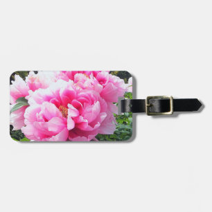 Étiquette À Bagage Pivoines roses en fleurs