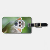 Étiquette À Bagage Plan rapproché d'un singe-écureuil commun (Devant horizontal)