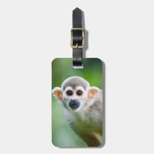 Étiquette À Bagage Plan rapproché d'un singe-écureuil commun