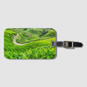 Étiquette À Bagage Plantation de thé des Cameron Highlands (Devant Horizontal)