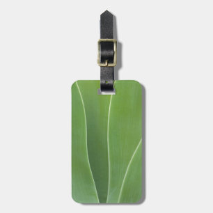 Étiquette À Bagage Plante d'Agave de près