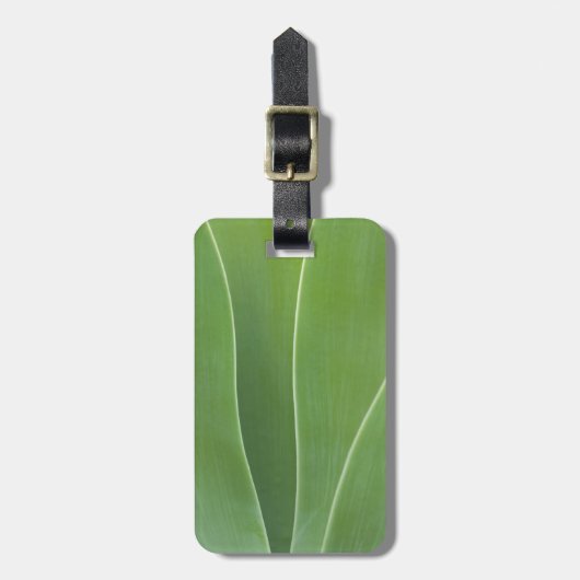 Étiquette À Bagage Plante d'Agave de près (Devant Vertical)