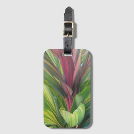 Étiquette À Bagage Plante Plus (Devant Vertical)