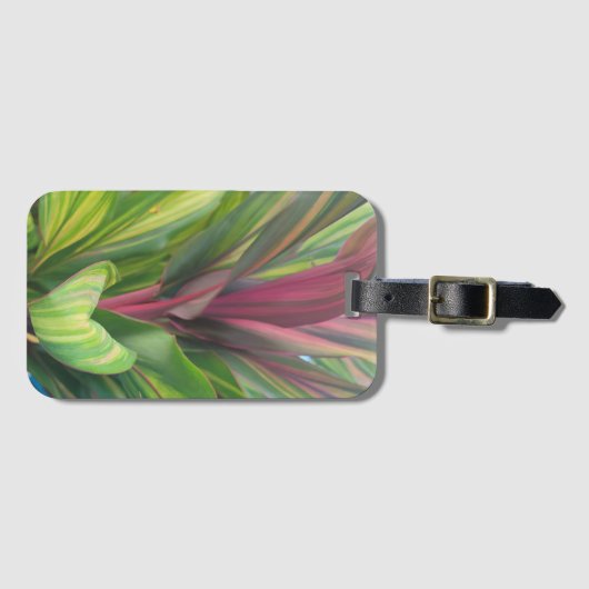 Étiquette À Bagage Plante Plus (Devant Horizontal)