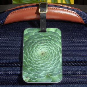 Étiquette À Bagage Plante vert Succulent