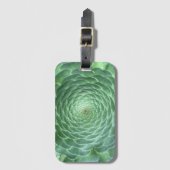 Étiquette À Bagage Plante vert Succulent (Devant Vertical)