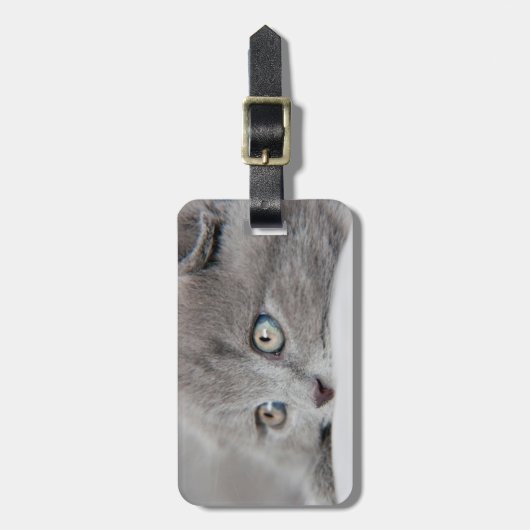 Étiquette À Bagage Plots réflectorisés (Devant Vertical)