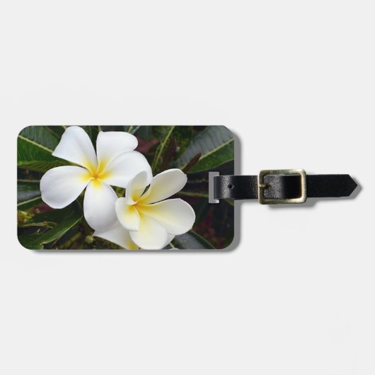 Étiquette À Bagage Plumeria Fleurs tropicales (Devant horizontal)