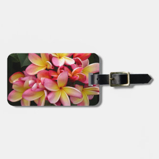 Étiquette À Bagage Plumeria tropicale rose et jaune