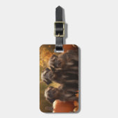 Étiquette À Bagage Pointeur à poils durs Griffon Puppy Automne (Devant Vertical)